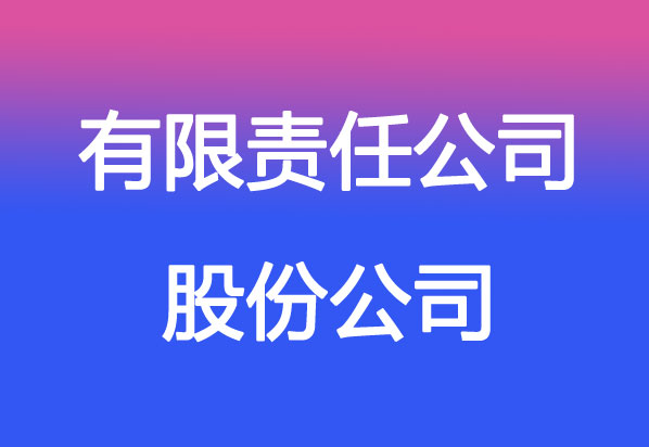 美國股份公司與有限責(zé)任公司
